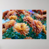 Mama das Wort! Poster (Vorne)