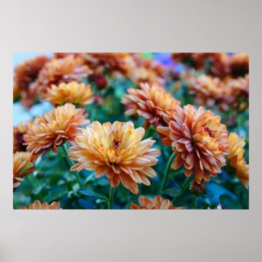 Mama das Wort! Poster (Vorne)