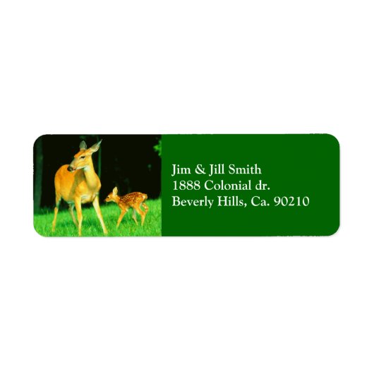 Mama Deer & Baby Fawn (Vorne)