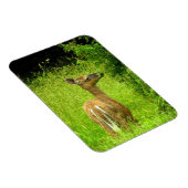 Mama Deer Browsing Magnet (Rechte Seite)