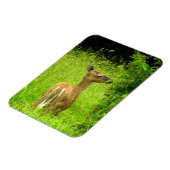 Mama Deer Browsing Magnet (Linke Seite)