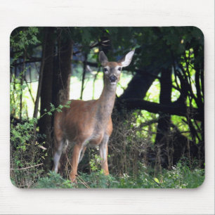 Mama Deer im Wald Mousepad