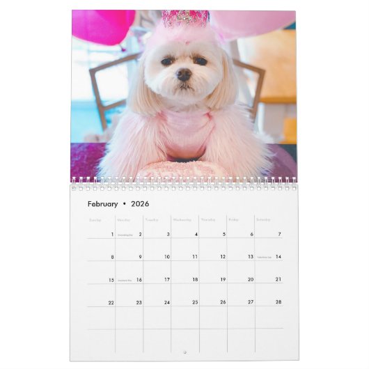 Mama des Hundes | Moderner Kalender für benutzerde (Feb 2026)