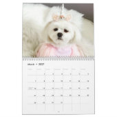 Mama des Hundes | Moderner Kalender für benutzerde (Mär 2027)