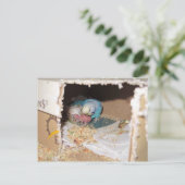 Mama Dexter und Baby Rufus Postkarte (Stehend Vorderseite)