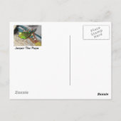 Mama Dexter und Baby Rufus Postkarte (Rückseite)