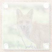 Mama Fox im Hudson Valley Glasuntersetzer (Rückseite)