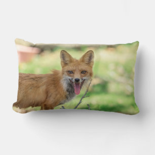 Mama Fox im Hudson Valley Lendenkissen