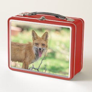 Mama Fox im Hudson Valley Metall Brotdose