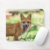 Mama Fox im Hudson Valley Mousepad (Mit Mouse)