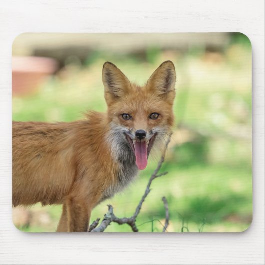 Mama Fox im Hudson Valley Mousepad (Vorne)