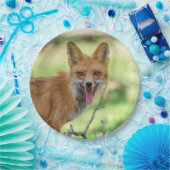 Mama Fox im Hudson Valley Pappteller (Party)