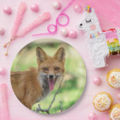 Mama Fox im Hudson Valley Pappteller (Party)