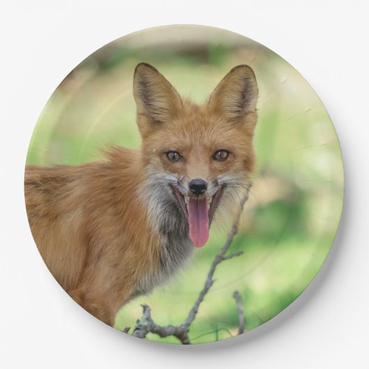 Mama Fox im Hudson Valley Pappteller (Vorderseite)