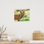 Mama Fox im Hudson Valley Poster (Küche)