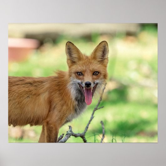 Mama Fox im Hudson Valley Poster (Vorne)