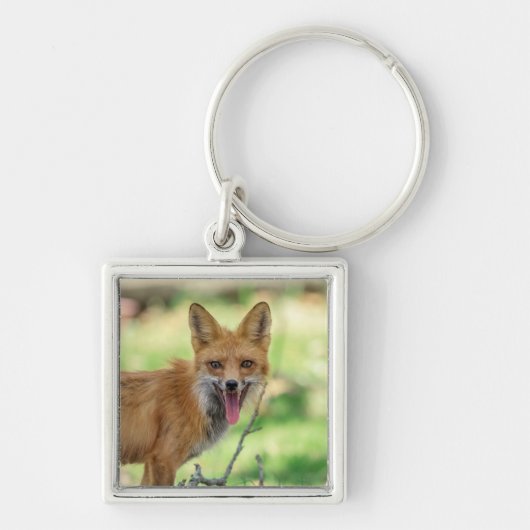 Mama Fox im Hudson Valley Schlüsselanhänger (Vorne)