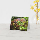 MAMA-FUCHS NIMMT EIN NICKERCHEN KARTE (Gelbe Blume)