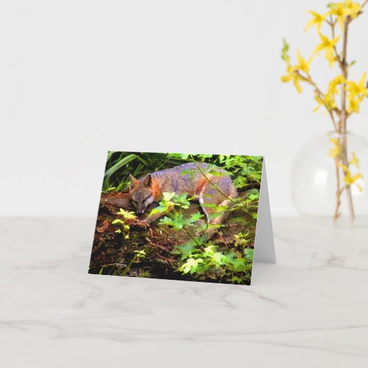 MAMA-FUCHS NIMMT EIN NICKERCHEN KARTE (Gelbe Blume)