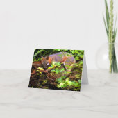 MAMA-FUCHS NIMMT EIN NICKERCHEN KARTE (Vorderseite)