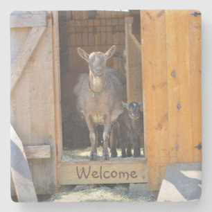 Mama Goat & Baby Steinuntersetzer