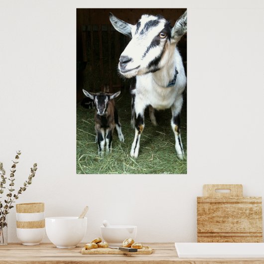 Mama Goat mit Baby Ginger Poster (Küche)
