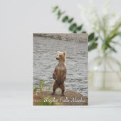 Mama, hallo, Brooks Falls Alaska Postkarte (Stehend Vorderseite)
