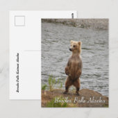 Mama, hallo, Brooks Falls Alaska Postkarte (Vorne/Hinten)