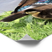 Mama Holzente mit Ente Poster (Ecke)