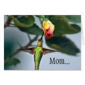 Mama Hummingbird (Vorderseite (Horizontal))