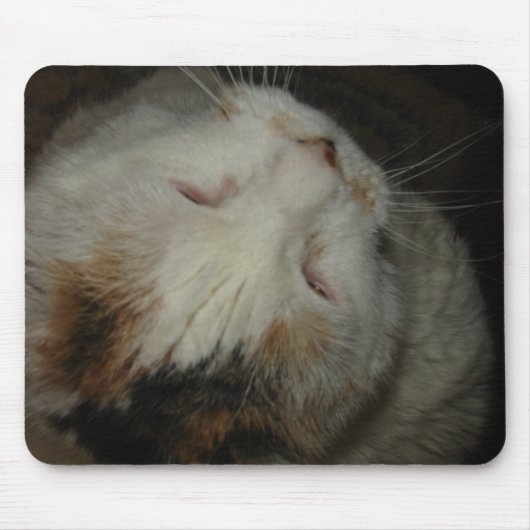 Mama, ich schlafe!! Katzenmauspad Mousepad (Vorne)