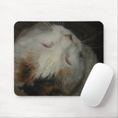 Mama, ich schlafe! Katzenmousepad! Mousepad (Mit Mouse)