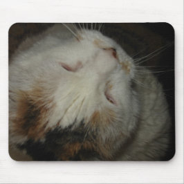 Mama, ich schlafe! Katzenmousepad! Mousepad
