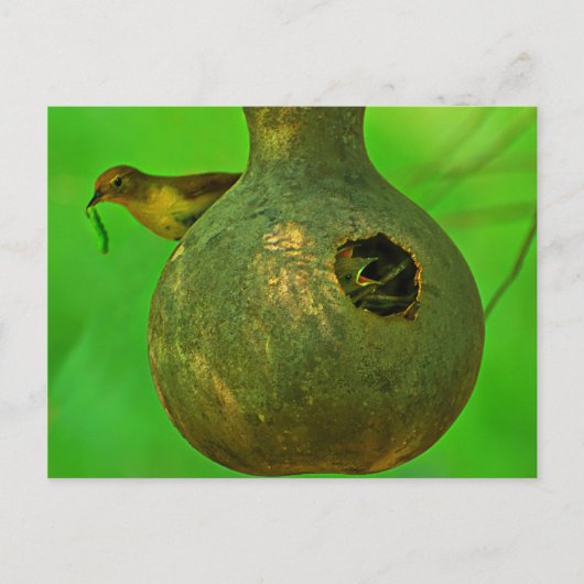 Mama, ich weiß, dass du hier bist postkarte (Vorderseite)