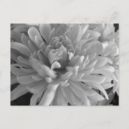 Mama ist die Word-Postkarte Postkarte (Vorderseite)