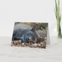 Mama ist liebenswert Adorable Cat Mother Day Card