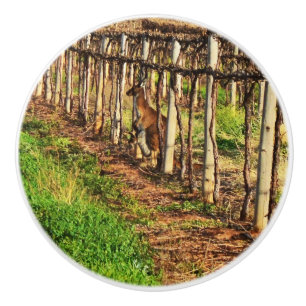 Mama Kangaroo in den Grapevinen, Keramikknauf