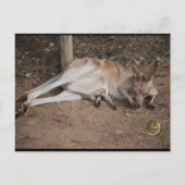 Mama Kangaroo mit Joey in Pouch Postkarte (Vorderseite)