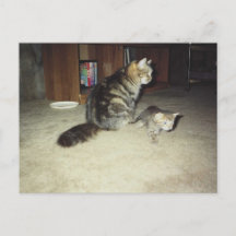 Mama Katze mit Kätzchen