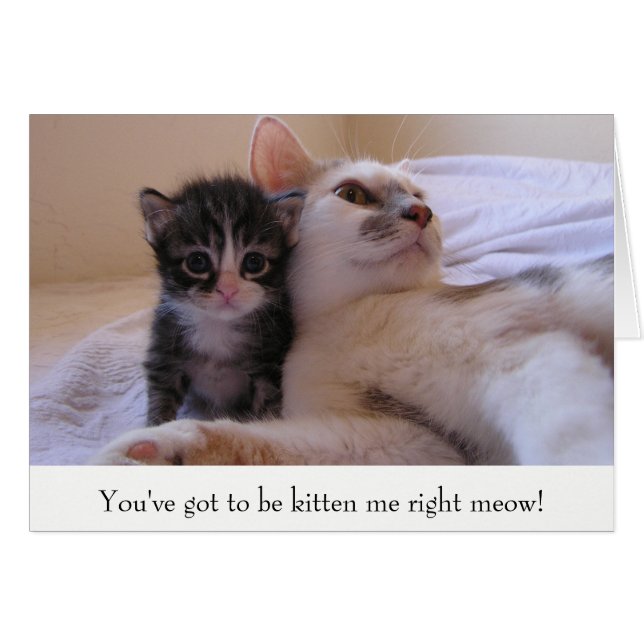 Mama & Kitten (Vorderseite (Horizontal))