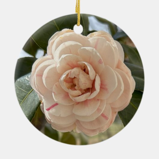 Mama-Klassik Tech Vibe Ornament (Hinten)