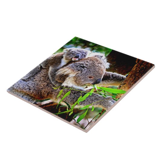 Mama Koala und Baby Joey in a Tree Fliese (Seite)