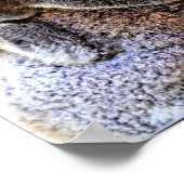 Mama Koala und Baby Joey in a Tree Poster (Ecke)