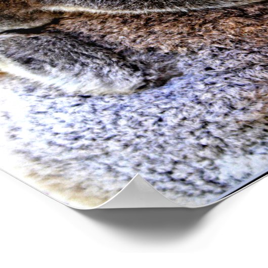 Mama Koala und Baby Joey in a Tree Poster (Ecke)