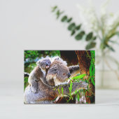 Mama Koala und Baby Joey in a Tree Postkarte (Stehend Vorderseite)