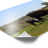 Mama Kuh und Kalb in Texas Fotodruck (Ecke)