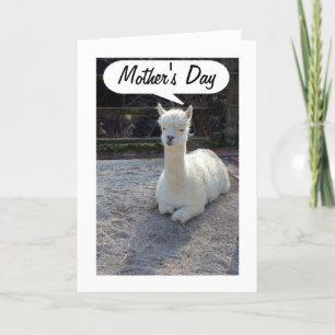 MAMA-LLAMA sagt GLÜCKLICHES MOTHERTAG=PHANTASTISCH Karte