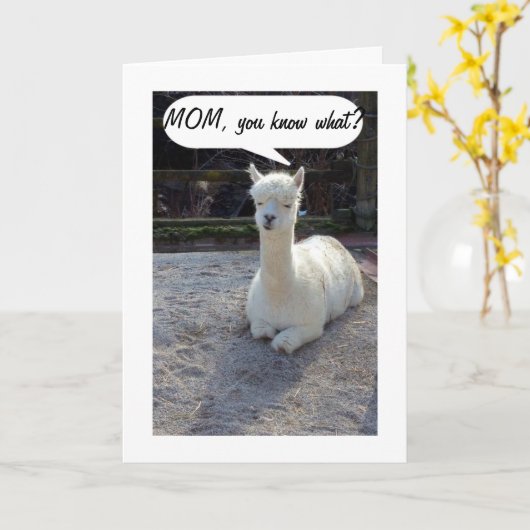MAMA-LLAMA SAGT, NIEMAND HABE EIN BESSERES ZWEI GE KARTE (Gelbe Blume)