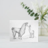 Mama Llama und Cria Postkarte (Stehend Vorderseite)