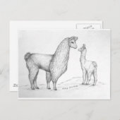 Mama Llama und Cria Postkarte (Vorne/Hinten)